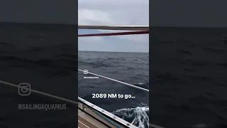 Resuming Atlantic Ocean Crossing… Day 1 🤓