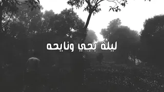ليلة بجي ونايحه باسم الكربلائي 