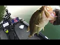 Tims Ford Lake Lost Creek area Bass Fishing