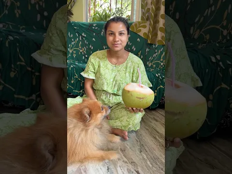 প্রেগনেন্সিতে ডাব খাওয়া কি সত্যিই ভালো