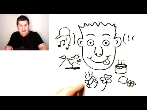 A1: lição de listening — Our Five Basic Senses | English Comprehensible Input for ESL Beginners