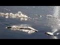 Freezing ocean on a very cold winter day - a relaxing nature video