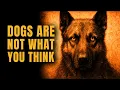 Edgar Cayce’s PROPHECY About Dogs Is HAPPENING NOW