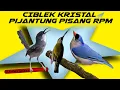 Lagu Ciblek Kristal , Pijantung Pisang, RPM Jeda terapi air AMPUH