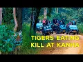 Lagu (Day 2) Kanha National Park - Mukki Gate Tiger Safari - (MV3, Mahavir 3) 4K Video Hindi | हिन्दी