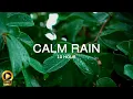 Download Lagu 10 Hour | Spiritual Rain Meditation | Insomnia | Study | Focus | Spa | Calming Background Ambience