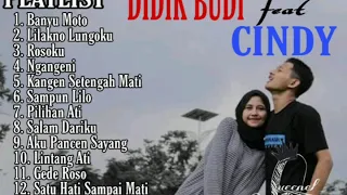 Didik Budi feat. Cindy Cintya Dewi \ \ Full album /lagu terbaru 2021 terpopuler saat ini di tiktok