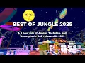 Lagu Best of Jungle 2025 | 3 hour mix of Jungle, Techstep, and Ambient DnB released in 2025