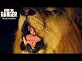 Download Lagu The Sound Of A Lion Roar At Night | African Safari Sighting