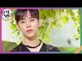 Lagu Gone - 방용국\u0026정대현\u0026유영재\u0026문종업 [뮤직뱅크/Music Bank] | KBS 240816 방송