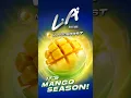 Lagu L.A. Ice MangoBoost - It's Mango Season! [Videotron] (9:16) New PHW 21+ (2024)