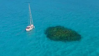 Dodging Coral in the Bahamas! | Distant Shores