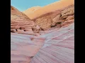 acceptances (orchestral expansion) - Lara Somogyi & Cyrus Reynolds
