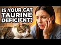 Your Cat Probably Doesn t Have a Taurine Problem