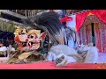 Download Lagu BARONG BANGKUNG AYU LENDRIS TAMPIL HEBOH DI TABANAN BALI