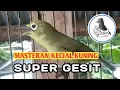 MASTERAN AUDIO KECIAL KUNING JOS RAPAT GESIT