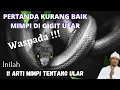 Download Lagu Arti mimpi tentang ular | tidak semua mimpi tentang ular itu buruk