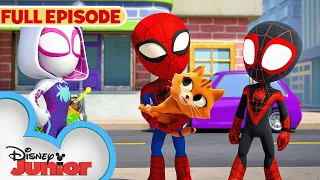cat astrophe s1 e11 pt 1 marvels spidey and his amazing friends full episode disneyjr
