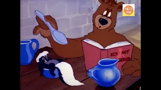 الدب وضيف غير مرحب به   أحلى كلاسيكيات كرتون زمان دندنها