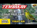 Download Lagu MASTERAN PLECI NEMBAK WIT WIT TULIT TULIT