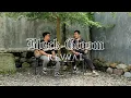 Download Lagu Revival - Black Gloom (Guitar Playtrough)