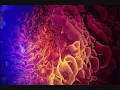 Tangerine Dream - Sequent C