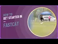 How to Get Started in AKC FastCAT Labrador Basset Hound Run the 100-Yard Dash