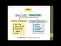 Digestive System Anatomy and Physiology-Lecture 21-Dr Ammara Rauf - Hindi