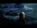 PGR X DMC5 - Vergil all voice lines poses files
