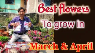 Download Best 12 Flowers to Grow in March and April ।। Summer Season Flowers MP3