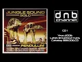 Lagu VA - Jungle Sound Gold (Mixed by Pendulum) [2006]