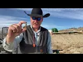 Virginian Dragoon Accuracy test loads