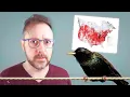 Let s Talk About America s Starling Problem