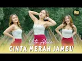 Vita Alvia - Cinta Merah Jambu (DJ Remix)