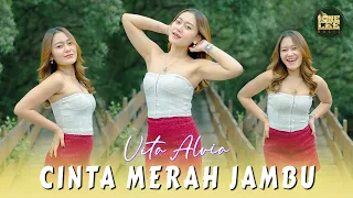 vita alvia cinta merah jambu dj remix 
