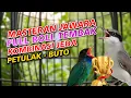 Download Lagu TEMBAKAN JAHAT❗JINGJING PETULAK FULL ISIAN dan TENGKEK BUTO