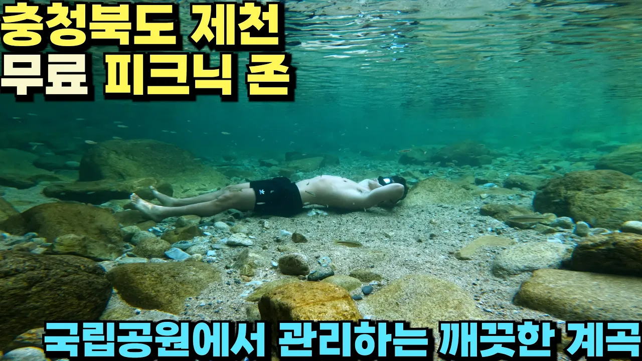 [무료 피크닉 존] 국립공원에서 관리해 최상의 수질을 가진 충북 제천 송계계곡 サムネイル