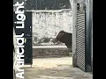 I Will See You Again - Artificial Light