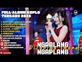 Lagu NGAPLANG NGAPLANG - DIFARINA INDRA ADELLA FULL ALBUM TERBARU DANGDUT KOPLO TERBARU 2025 