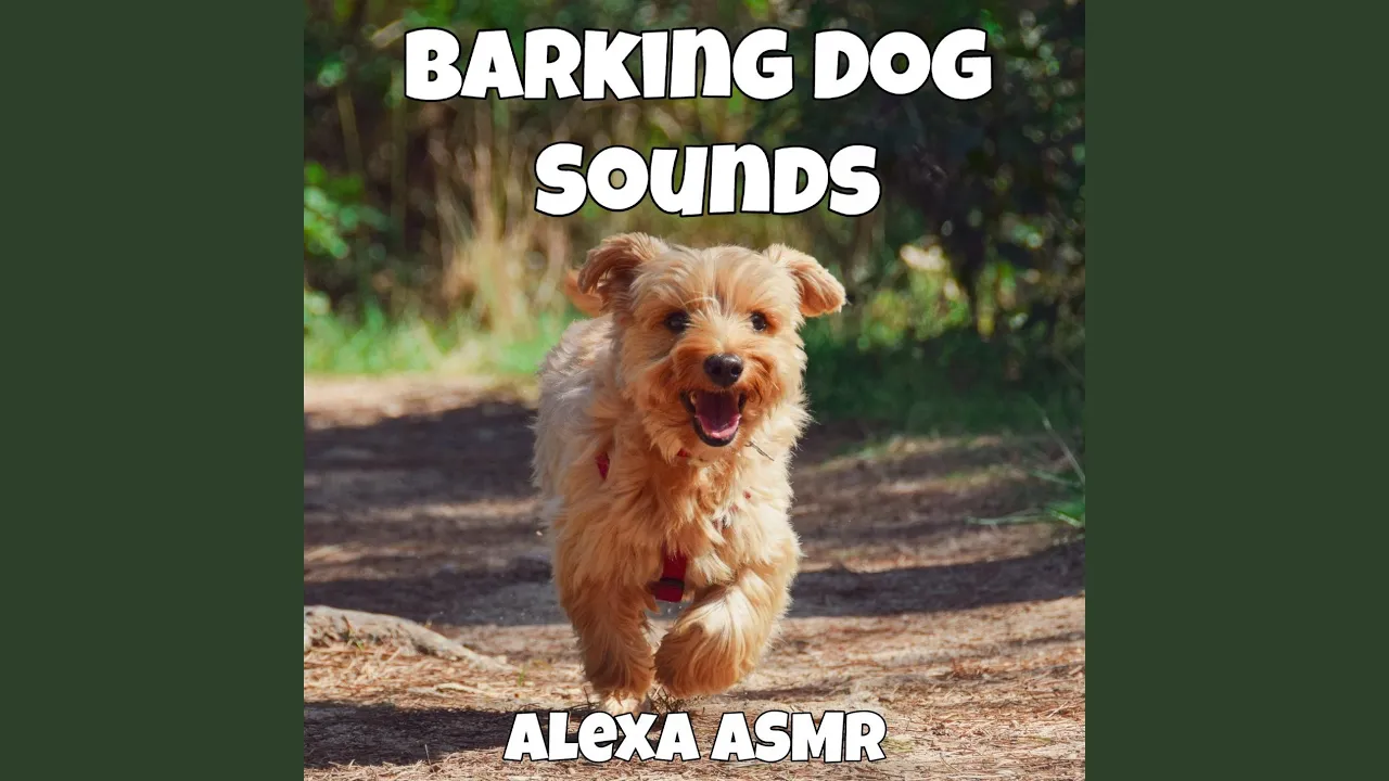 Soothing Barking Dog Sounds Soothing Barking Dog Sounds