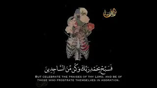 ولقد نعلم انك يضيق صدرك بما يقولون الشيخ المنشاوي 