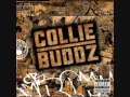 Download Lagu collie buddz   Mamacita