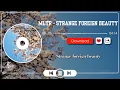 Download Lagu Strange Foreign Beauty - Michael Learns to Rock ( Lyrics )