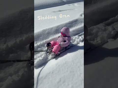 Backyard 500: Watch us turn our backyard into a sled track! ❄️ 🛷 #snow #speed #sled #cars #momlife