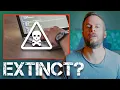 Will Software Engineers Go Extinct The Truth About AI Coding