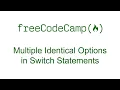 Multiple Identical Options in Switch Statements
