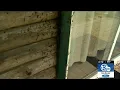 More than just gross gypsy moths causing damage across Finger Lakes