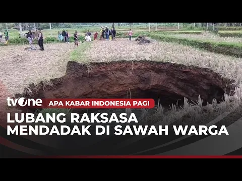 Pantauan Langsung Lubang Raksasa di Tengah Sawah Sumbar