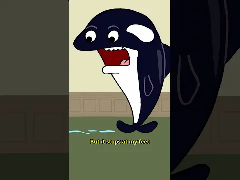 Penguin Whodunit🐧