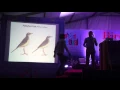 Download Lagu Identification of Indian Pipits - Dr. Per Alström - UP Bird Festival 2015 | Chambal